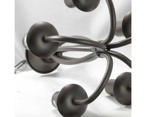 Подвесная люстра Congress GRLSP-9913 Lussole LGO