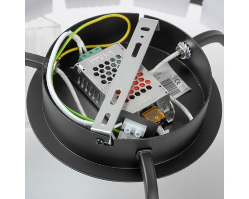 Потолочная люстра Alpine LSP-7259 Lussole LGO