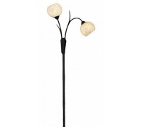 Торшер Bagheria GRLSF-6295-02 Lussole Loft