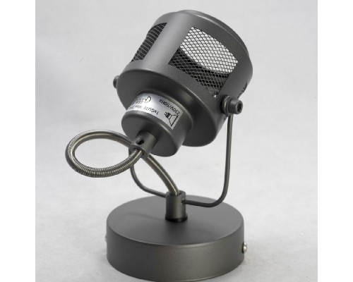 Спот Haines GRLSP-8045 Lussole Loft