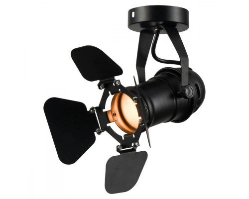 Спот Thornton GRLSP-9838 Lussole Loft