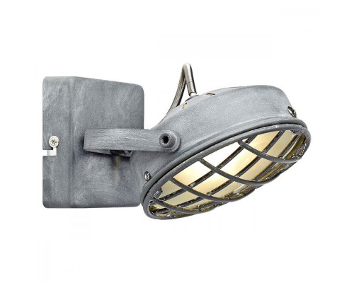 Спот Lakewood GRLSP-9979 Lussole Loft