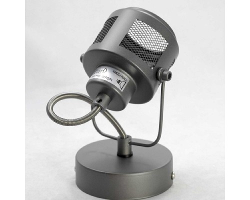 Спот Haines LSP-8045 Lussole Loft