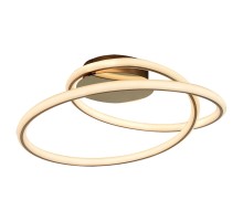 Потолочная люстра Ingersoll LSP-8346 Lussole Loft