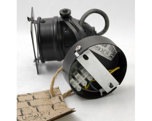 Спот Denver LSP-9118 Lussole Loft