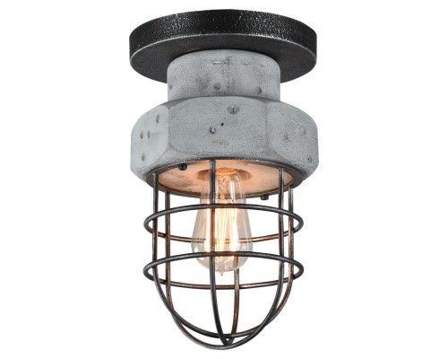 Потолочный светильник Commack LSP-9701 Lussole Loft