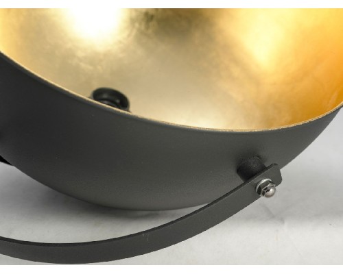 Торшер Sherrelwood LSP-9824 Lussole Loft