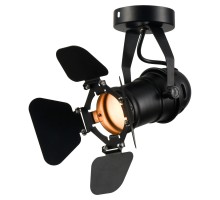 Спот Thornton LSP-9838 Lussole Loft