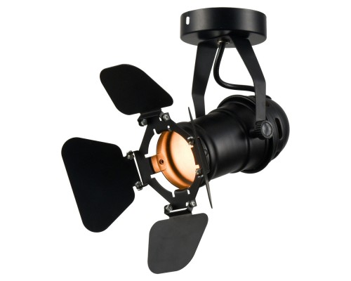 Спот Thornton LSP-9838 Lussole Loft