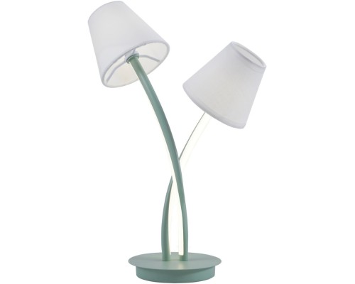 Интерьерная настольная лампа Аэлита 480033302 MW-Light