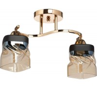 Потолочная люстра Тетро 673016702 MW-Light