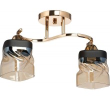 Потолочная люстра Тетро 673016702 MW-Light