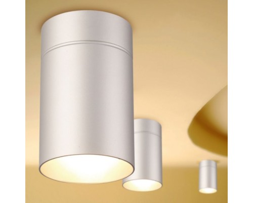 Потолочный светильник Aruba 5629 Mantra