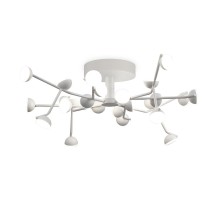 Потолочная люстра Adn 6416 Mantra