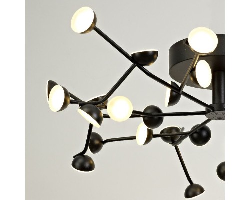 Потолочная люстра Adn 6422 Mantra