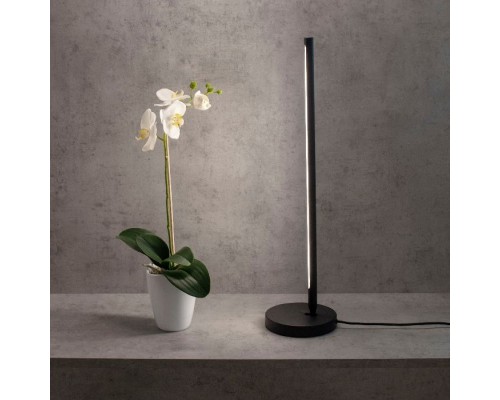 Настольная лампа Torch 6738 Mantra