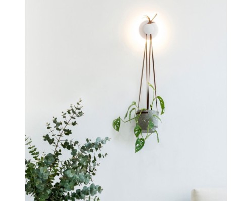 Настенный светильник Polar 7240 Mantra