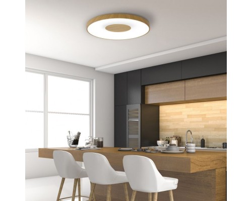 Потолочный светильник Coin 7562 Mantra