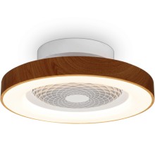 Потолочный светильник Tibet 7806 Mantra