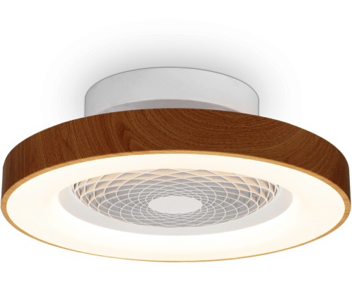 Потолочный светильник Tibet 7806 Mantra