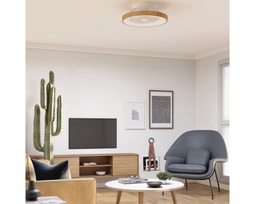 Потолочный светильник Tibet 7806 Mantra