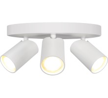 Спот Sal 7961 Mantra