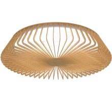 Потолочный светильник Himalaya 7964 Mantra