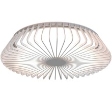 Потолочный светильник Himalaya 7966 Mantra