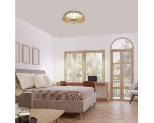 Потолочный светильник Himalaya 7967 Mantra