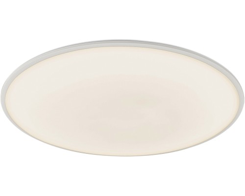 Потолочный светильник Slim 7971 Mantra