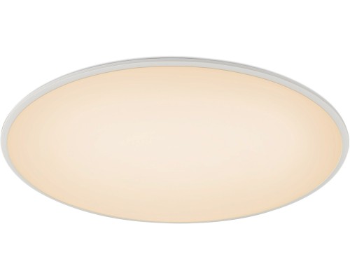 Потолочный светильник Slim 7972 Mantra