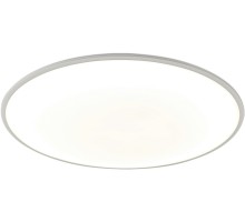 Потолочный светильник Slim 7973 Mantra