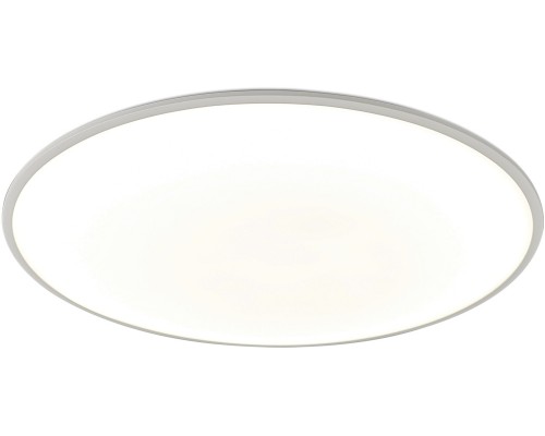 Потолочный светильник Slim 7973 Mantra