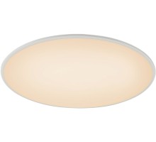 Потолочный светильник Slim 7975 Mantra