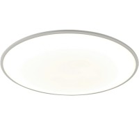 Потолочный светильник Slim 7976 Mantra