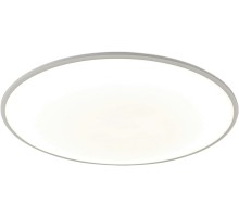 Потолочный светильник Slim 7976 Mantra