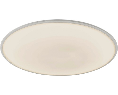 Потолочный светильник Slim 7977 Mantra