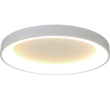 Потолочный светильник Niseko 8019 Mantra