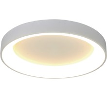 Потолочный светильник Niseko 8021 Mantra