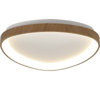 Потолочный светильник Niseko 8055 Mantra