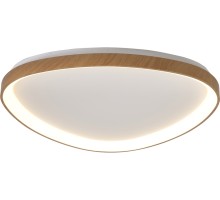 Потолочный светильник Niseko 8059 Mantra