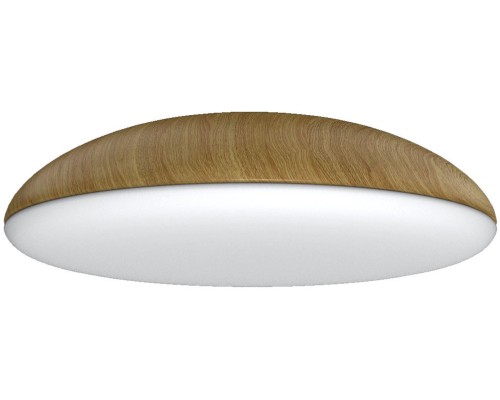 Потолочный светильник Kazz 8136 Mantra