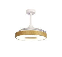 Потолочная люстра Coin 8217 Mantra