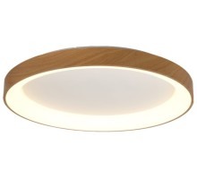 Потолочный светильник Niseko 8586 Mantra