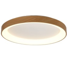 Потолочный светильник Niseko 8587 Mantra