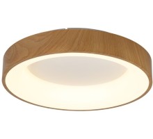 Потолочный светильник Niseko 8588 Mantra