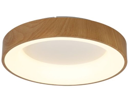 Потолочный светильник Niseko 8588 Mantra