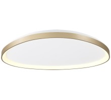 Потолочный светильник Niseko 8635 Mantra