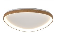 Потолочный светильник Niseko 8636 Mantra