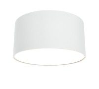 Потолочный светильник Zon C032CL-L12W3K Maytoni